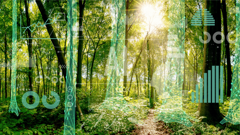 Intelligent Forest Management and Workload Planning for Forest Rangers